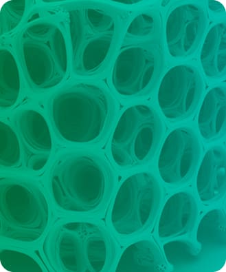 Investigación y desarrollo